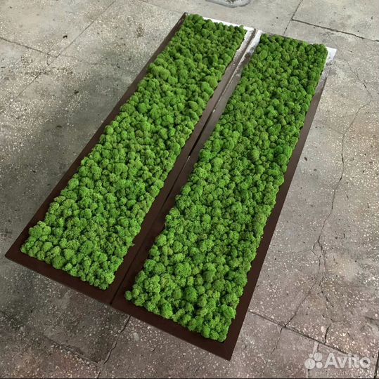 Пано из мха