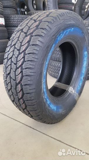 Cooper Weather-Master WSC 265/50 R20 107T