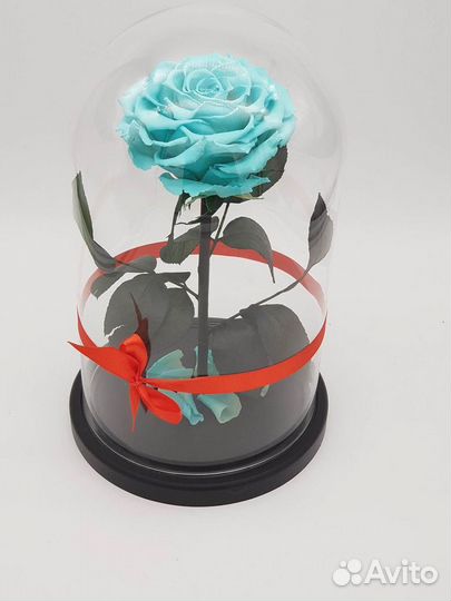 Роза в колбе. С гарантией
