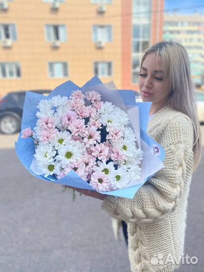 Хризантема кустовая оптом и в розницу Красноярск