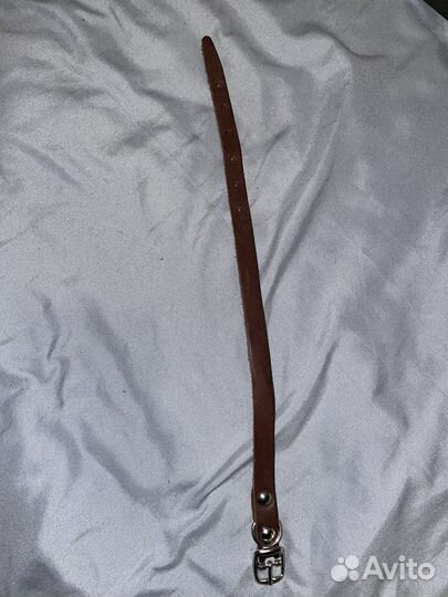 Шлейка, Ошейник, Намордник, Ботинки