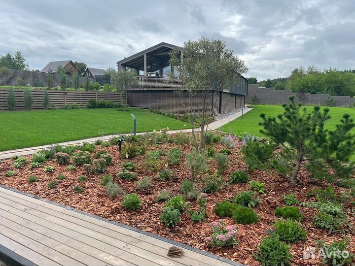 Рулонный газон под ключ