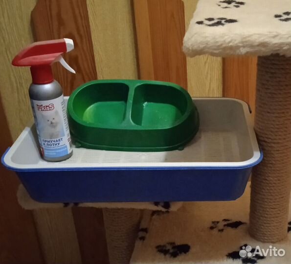 Комбинезоны для собак, товары для кошек