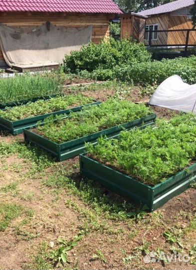 Грядка темно-зеленая 1м х 5м х 22см