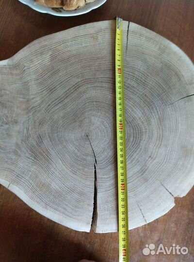 Спил ценного редкого дерева