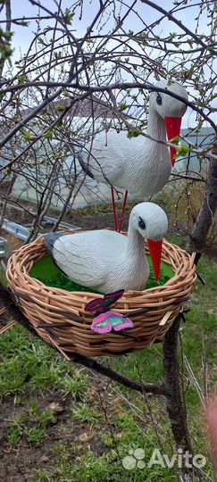 Аисты в гнезде