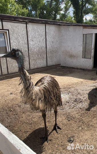 Экскурсия в парк