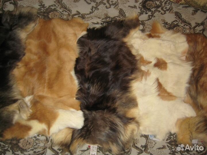 Мех натуральный Чехия