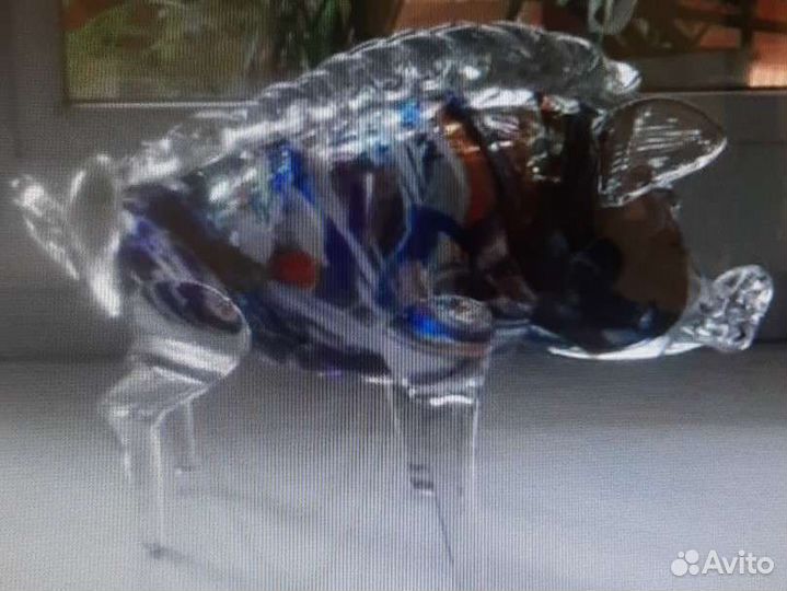 Кабан. Цветное стекло