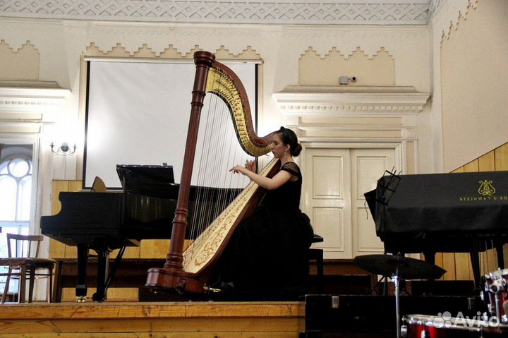 Музыканты на мероприятие