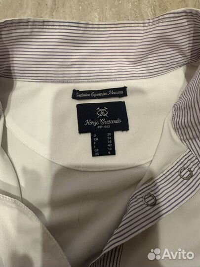 Поло конное