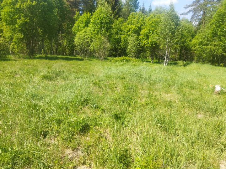 Участок 5,6 га (ИЖС)