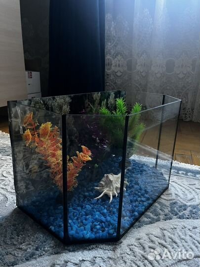Аквариум