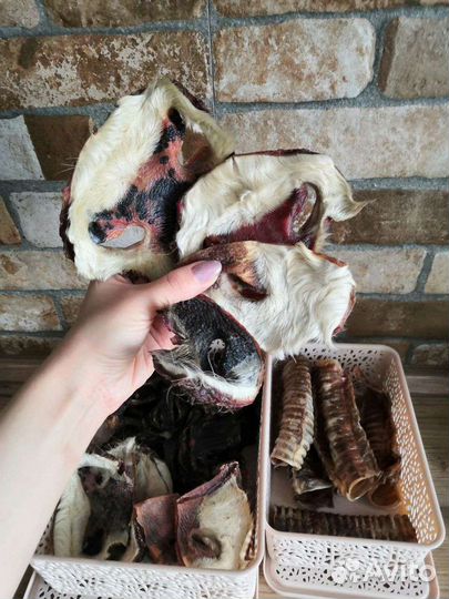 Вкусняшки для собак 