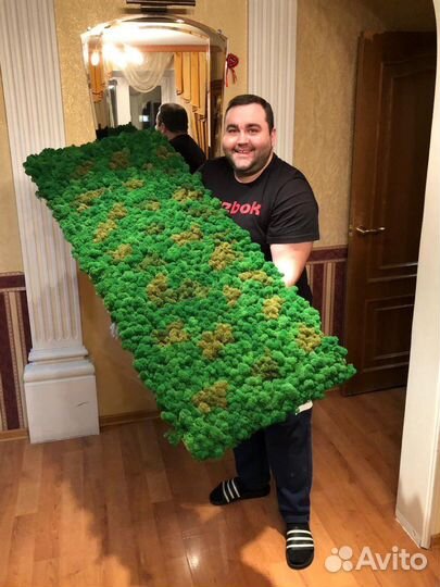 Мох Стабилизированный ягель, кочка, пласт, панно