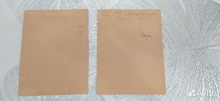 2 Фотографии Архитекторы Веснины 1950 г