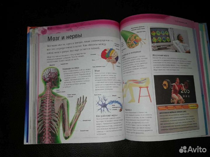 Современная детская энциклопедия новая
