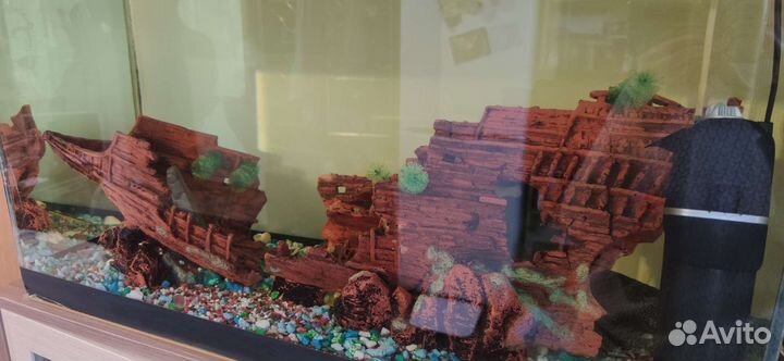 Аквариум