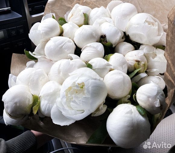 Цветы Букет цветов с доставкой Любые букеты