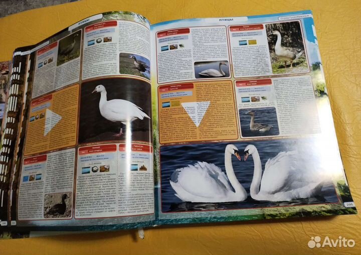 Энциклопедия животных Роосса