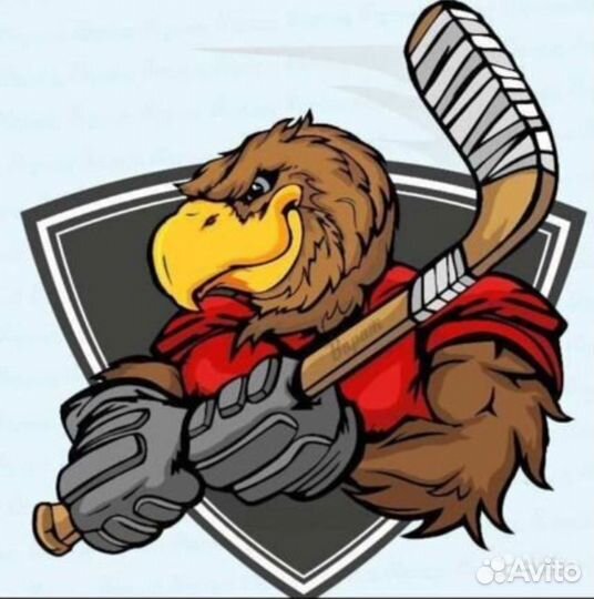 Школа хоккея для взрослых