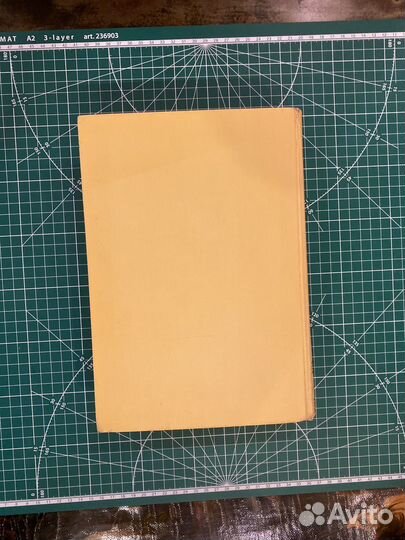 Витязь в тигровой шкуре Руставели. Academia 1936