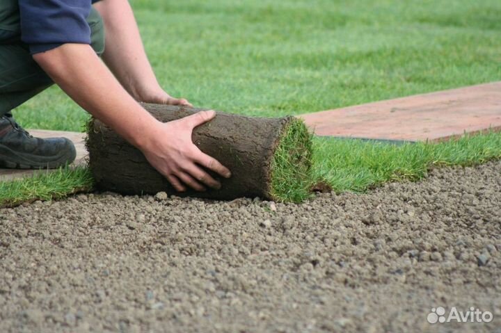 Укладка и продажа газона