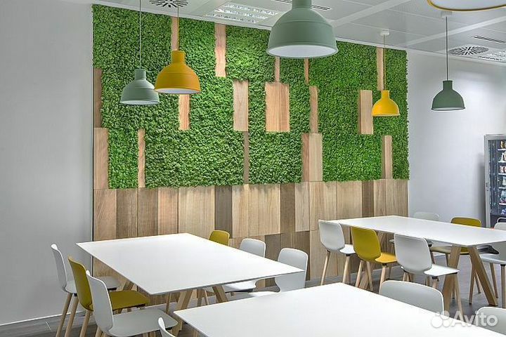 Фитостена из Стабилизированного мха