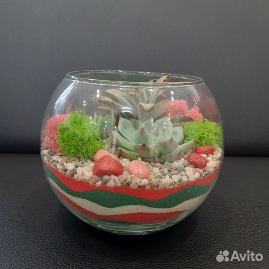 Флорариум 