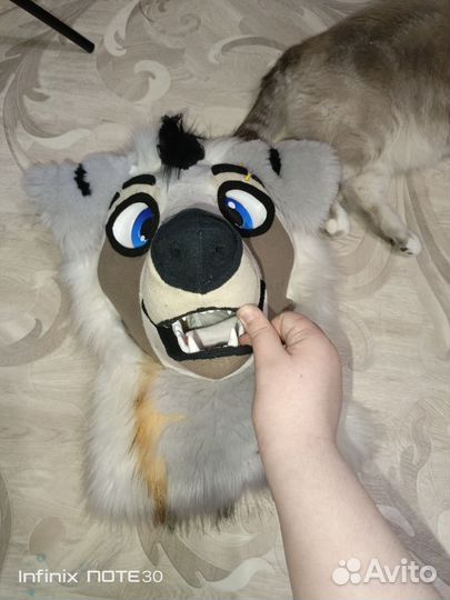 Фурсьют собаки