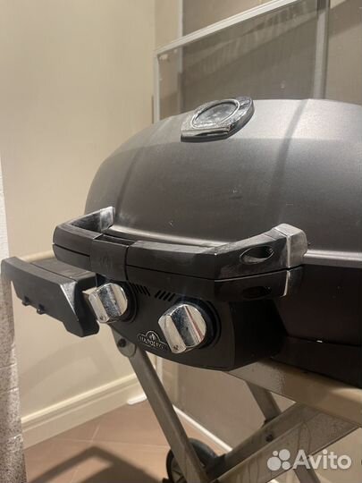 Газовый портативный гриль Napoleon