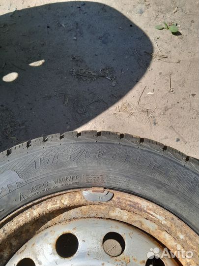 Gislaved Nord Frost 5 175/65 R14