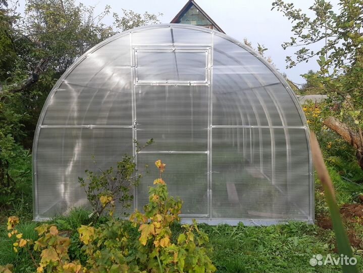 Теплица купить