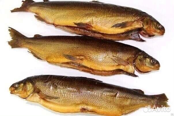Рыба, щекур, чир х/к., холодного копчения купить в Салехарде | Товары ...