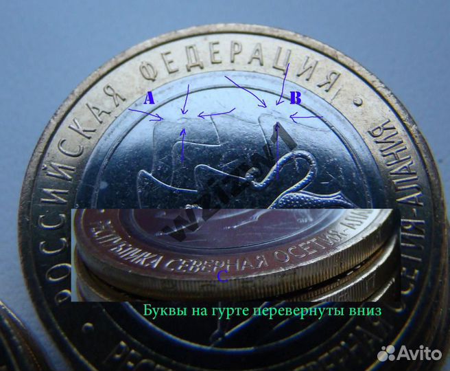 Алания гурт антилавина риф