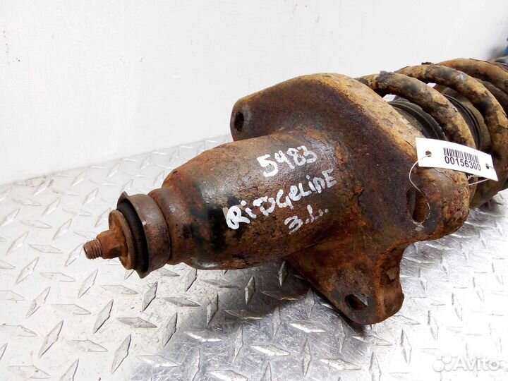 Амортизатор задний L Honda Ridgeline 1