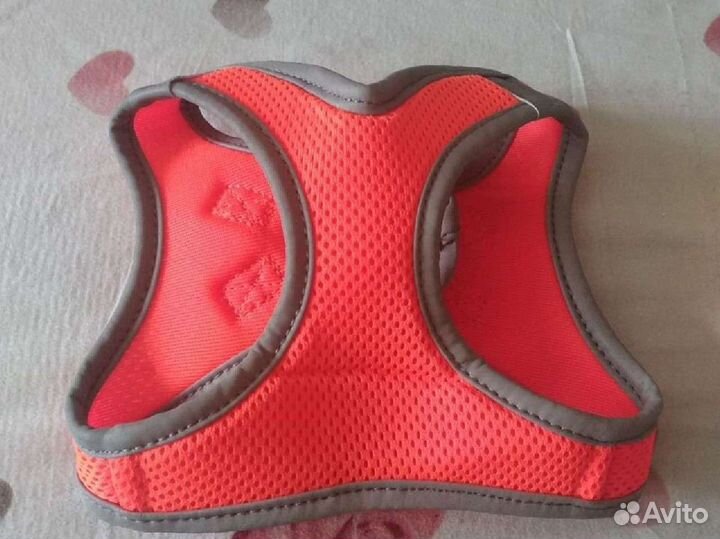 Шлейка и поводок