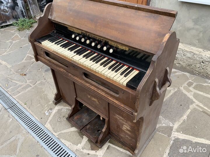 Фисгармония