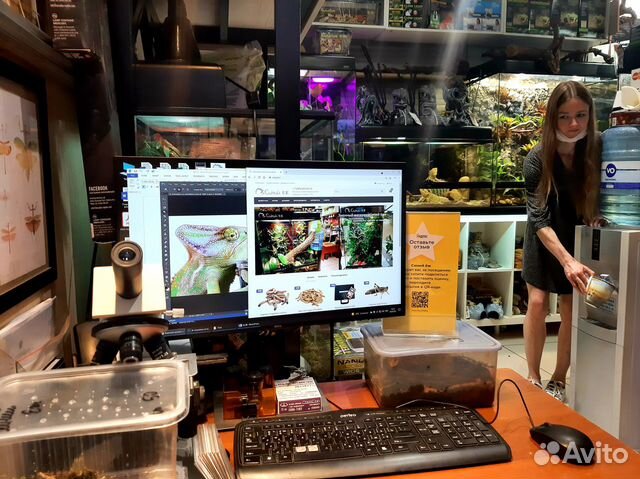 Администратор сайта в зоомагазин