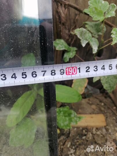 Стекло пакет бу