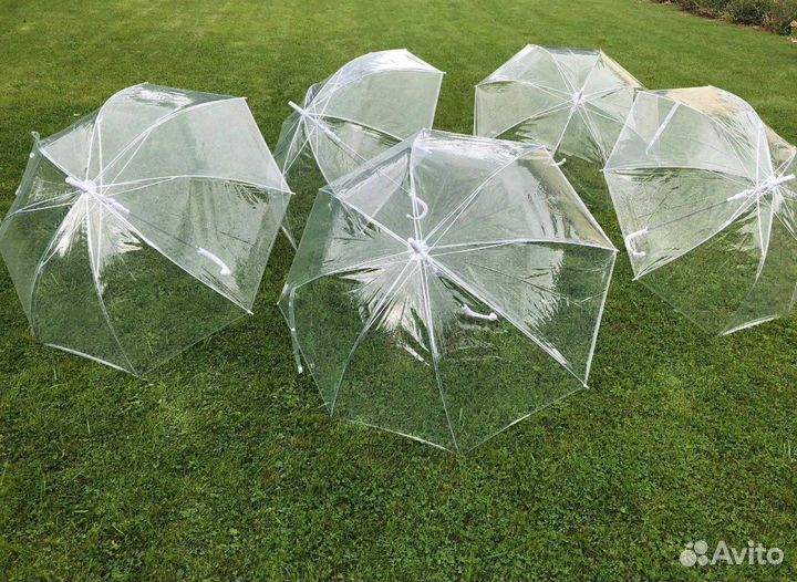 Аренда прозрачных зонтов