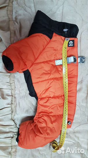 Одежда для маленьких пород собак