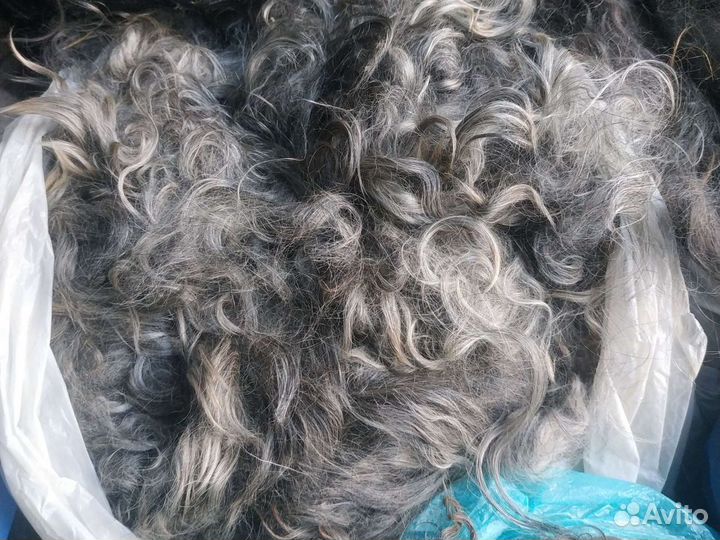 Волгоградский козий пух. Доставка по городу и райо