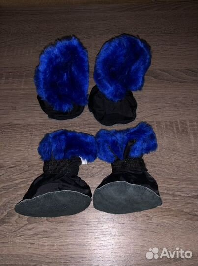 Ботинки для собак