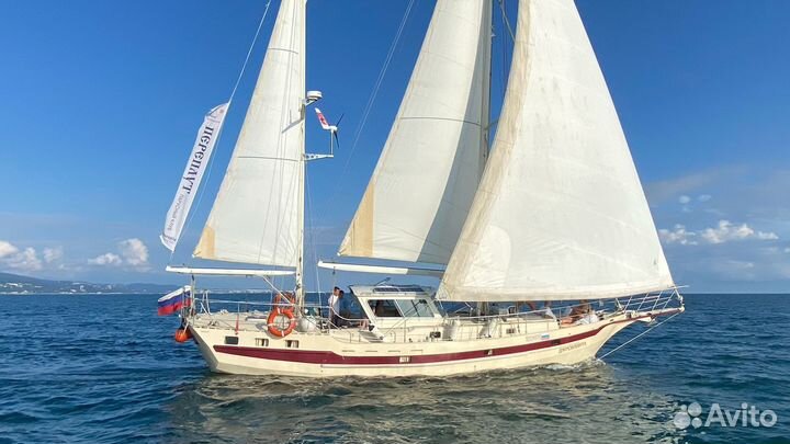 Аренда Яхты Сочи Адлер Встреча дельфинов Рыбалка