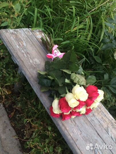 Цветы розы букет