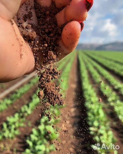 Купить грунт для рассады плодородный