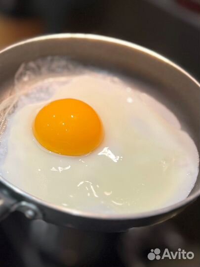 Домашние куриные яйца