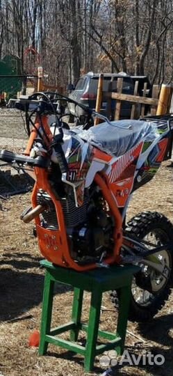 Регулмото атлет 250