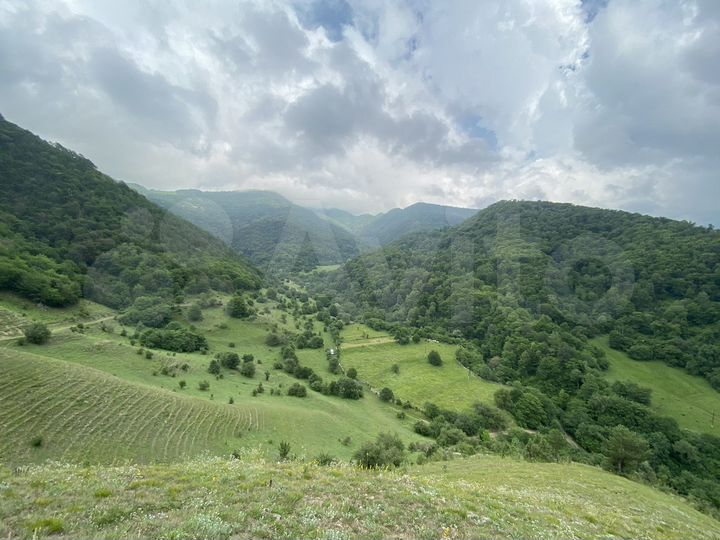 Участок 5,91 га (СНТ, ДНП)